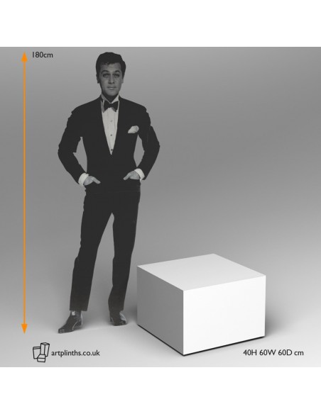 40H x 60W x 60D cm