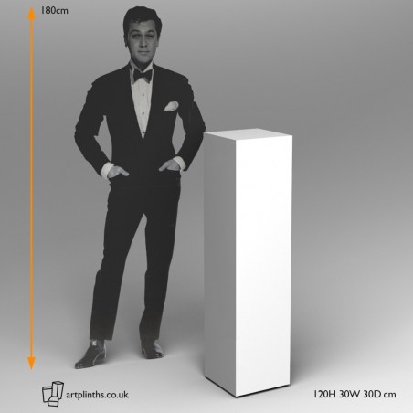 Plinth hire 120H x 30W x 30D cm Artplinths
