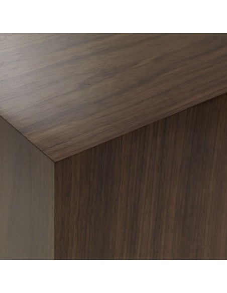 American black walnut 
