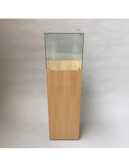 Glass Display Case & Hardwoood Plinth