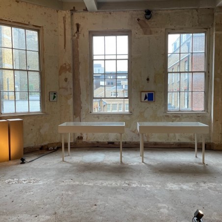 Artplinths vitrine hire London