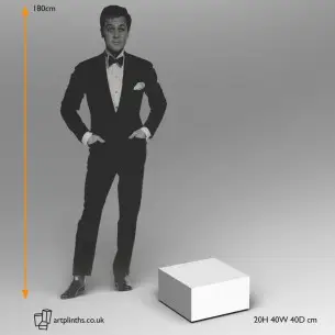 Small  Plinth by artplinths 20H x 40W x 40D cm