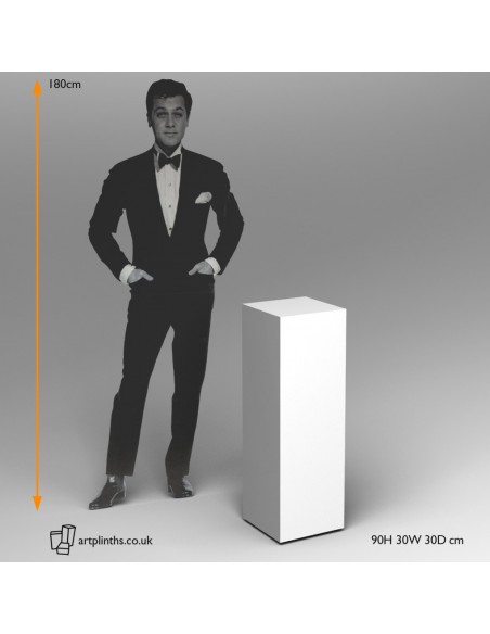 90H x 30W x 30D cm plainted artplinths